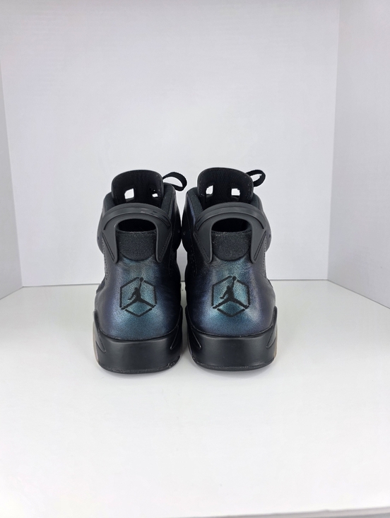 Nike Air Jordan 6 Retro All-Star Chameleon Sneakers 907961-015 Men\'s Size 15